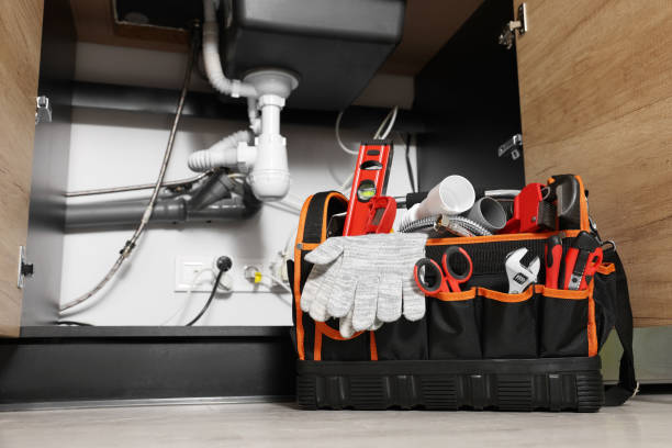 Best Leak Detection Services  in Mililani Town, HI