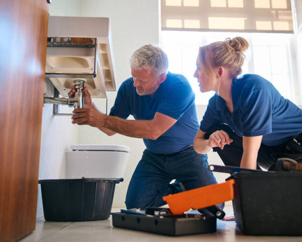 Best Faucet Repair  in Mililani Town, HI